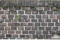 wall brick dirty 0013